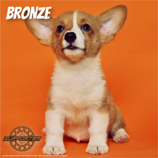 Bronze Tier: Paw Supporter 🐾