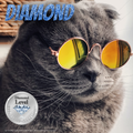 Diamond Tier: PAWscrybe Patron 💎